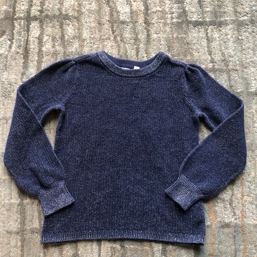 Gap Navy Sweater
